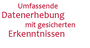 Marktanalyse: Umfassende Datenerhebung mit gesicherten Erkenntnissen